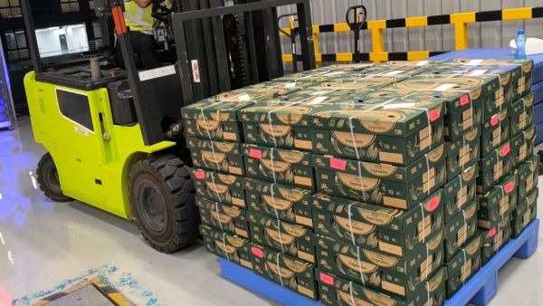 From Konkan orchards to Arabian souks: Air India cargo transports first international export shipment from Navi Mumbai aboard Air India Express