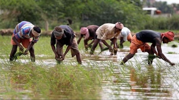 Bank of Baroda Engages with over 3.65 lakh Farmers across India during the 8th Edition of 