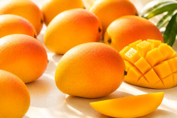 HOW INDIA&rsquo;S MANGOES RIDE AIR INDIA&rsquo;S LONG-HAUL NETWORK ACROSS THE WORLD 